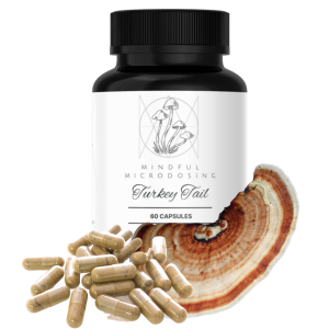 Turkey Tail - 60 Capsules