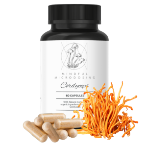 Cordyceps - 60 Capsules
