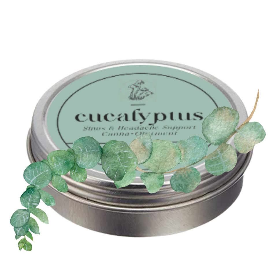 Eucalyptus Sinus and Headache Support Canna Ointment - 20ml