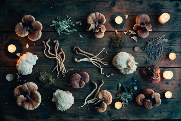 An array of dried medicinal mushrooms and herbs arranged with lit candles on a rustic dark wooden table